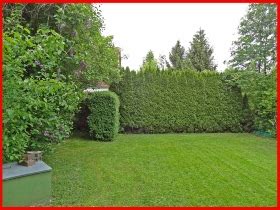 rasen_hecke2