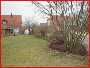 strauch_ohne_blaetter-300x225